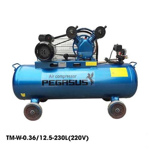 may-nen-khi-4hp-pegasus-tm-w-0-36-12.5-230l-220v-dung-tich-230l-GREENTOOL