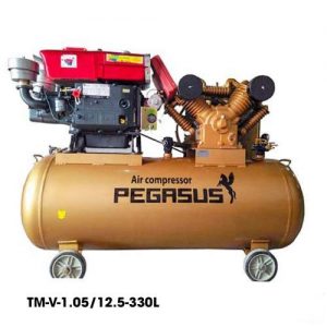 MÁY NÉN KHÍ ĐẦU NỔ PEGASUS TM-W-1.05/12.5-330L – 10HP – DUNG TÍCH 330 LÍT