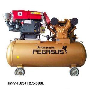 MÁY NÉN KHÍ ĐẦU NỔ PEGASUS TM-W-1.05/12.5-500L – 10HP – DUNG TÍCH 500 LÍT