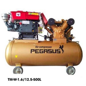 MÁY NÉN KHÍ ĐẦU NỔ PEGASUS TM-W-1.6/12.5-500L – 15HP – DUNG TÍCH 500 LÍT