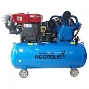 MÁY NÉN KHÍ ĐẦU NỔ PEGASUS TM-W-2.0/12.5-500L – 20HP – DUNG TÍCH 500 LÍT